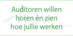 Citaat: Auditoren willen horen én zien hoe jullie werken